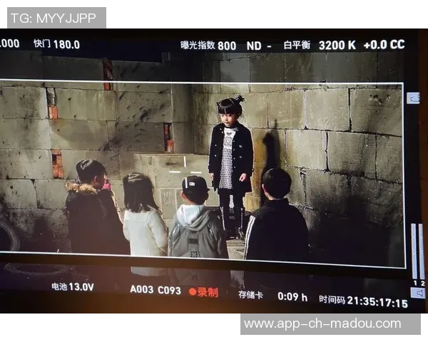 麻豆传媒兑换码-探索麻豆传媒的奥秘,兑换码的价值与应用-麻豆传媒麻豆币兑换码